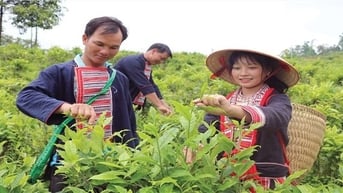 Cú hích chiến lược làm thay đổi diện mạo vùng đồng bào dân tộc thiểu số: Những trụ cột phát triển bền vững – Bài 1