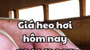 Tăng đồng loạt tại 3 miền trên cả nước
