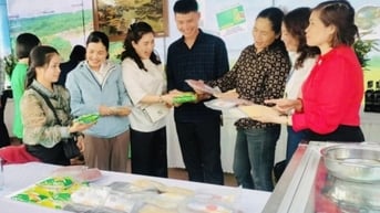 Chú trọng phát triển các sản phẩm OCOP