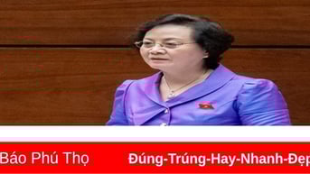 Cán bộ, công chức, viên chức được sắp xếp thế nào?