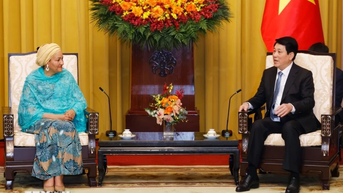 Chủ tịch nước đề nghị Liên hợp quốc hỗ trợ Việt Nam trên một số lĩnh vực ưu tiên