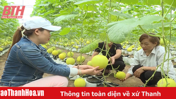 Ngọc Lặc nâng tầm chất lượng sản phẩm OCOP