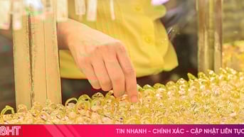 Giá vàng hôm nay 07/06/2025: Trong nước tăng, thế giới quay đầu giảm nhẹ