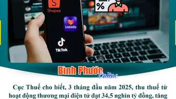 Thu thuế từ kinh doanh thương mại điện tử đạt 34,5 nghìn tỷ đồng