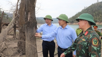 Triển khai đồng bộ các giải pháp đảm bảo an toàn, phát triển bền vững diện tích rừng