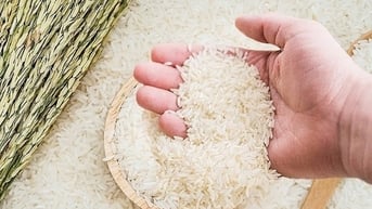 Giá lúa, gạo đều tăng nhẹ