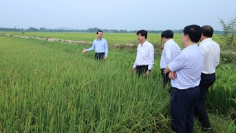 Bộ trưởng Bộ Nông nghiệp và Môi trường thăm, tặng 20 suất quà người dân khu tái định cư Dự án Hồ chứa nước Krông Pách thượng