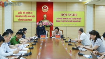 Đoàn ĐBQH tỉnh lấy ý kiến tham gia vào các dự án luật trình tại Kỳ họp 9, Quốc hội khóa XV