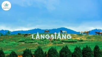Hành trình khám phá Đà Lạt thú vị cùng Review Đà Lạt