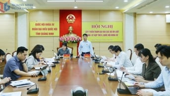 Đoàn ĐBQH tỉnh tổ chức hội nghị lấy ý kiến tham gia vào các dự thảo luật trình tại Kỳ họp thứ 9
