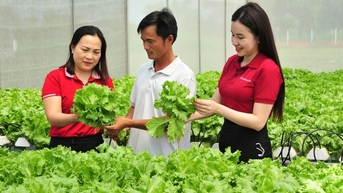 Agribank góp phần thúc đẩy kinh tế tư nhân