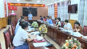 Giám sát công tác giáo dục hướng nghiệp, định hướng phân luồng học sinh