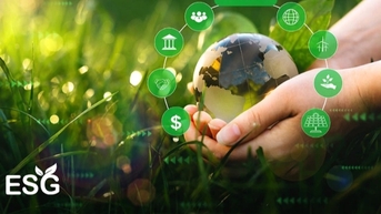 Doanh nghiệp Việt đang thực thi ESG ra sao để phát triển bền vững?
