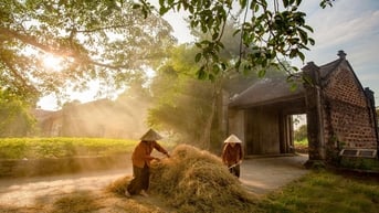 "Đường quê" trong tâm thức người Việt