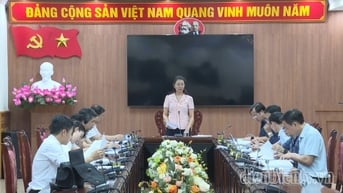 Ban Kinh tế - Ngân sách, HĐND tỉnh họp thẩm tra dự thảo nghị quyết