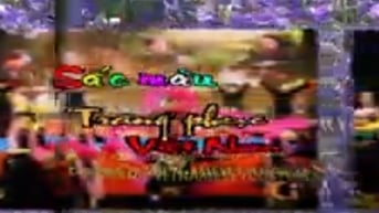 Sắc Màu Trang Phục Việt Nam