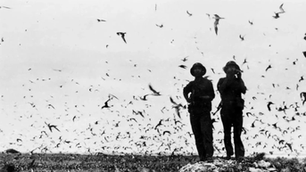 50 năm thống nhất đất nước-Ngày 29/4/1975: Giải phóng quần đảo Trường Sa