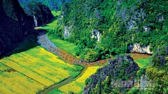 Ninh Bình và tầm nhìn đô thị di sản thiên niên kỷ