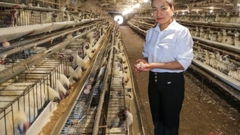 Bỏ việc lương cao, nữ thạc sĩ về quê sắm máy lạnh, mở nhạc 'phục vụ' gà