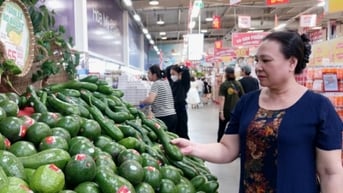 Bơ đầu mùa tăng giá gấp đôi
