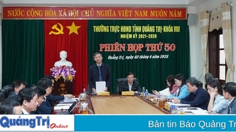 Rà soát các nội dung kỳ họp thứ 30, HĐND tỉnh khóa VIII