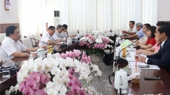 Đồng chí Trịnh Minh Hoàng, Phó Chủ tịch UBND tỉnh làm việc với Công ty TNHH Bia Sài Gòn-Ninh Thuận