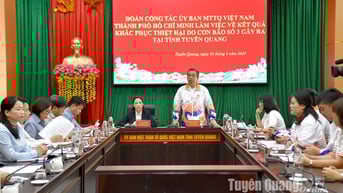 Ủy ban MTTQ Việt Nam thành phố Hồ Chí Minh làm việc với tỉnh
