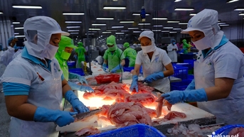 សហរដ្ឋអាមេរិកចង់ដាក់ពន្ធ 46% លើទំនិញវៀតណាម៖ ជៀសវាងការភ័យស្លន់ស្លោឬការព្រួយបារម្ភហួសហេតុ