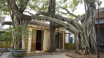 Chuyện về cặp đa di sản - cứu tinh của dân làng Hải Phòng