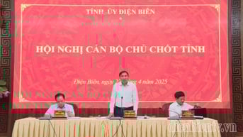 Tỉnh ủy tổ chức hội nghị về công tác cán bộ và tổ chức bộ máy