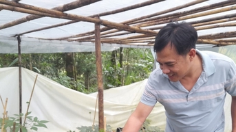 Ngày 10/5 diễn ra hội nghị về phát triển công nghiệp dược liệu tại Quảng Nam