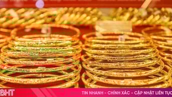 Giá vàng hôm nay 15/6/2025: Đồng loạt tăng