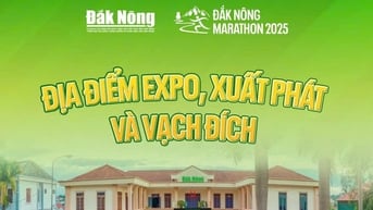 Địa điểm Expo, xuất phát và vạch đích giải Đắk Nông Marathon 2025
