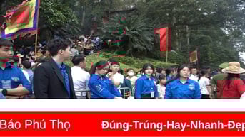 Thanh niên tình nguyện “xuyên đêm” vệ sinh môi trường