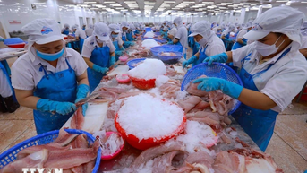 សហរដ្ឋ​អាមេរិក​ដាក់​ពន្ធ​ចំរុះ ៤៦%៖ វៀតណាម​នឹង​ឆ្លើយ​តប​យ៉ាង​ណា?