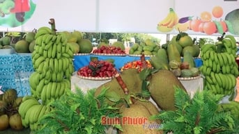 Đặc sắc hội chợ trưng bày sản phẩm OCOP, sản phẩm nông nghiệp tiêu biểu
