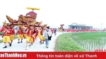 Lễ hội Mai An Tiêm năm 2025 