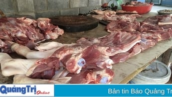 Phát triển chăn nuôi lợn hiệu quả, bền vững