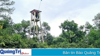 Thị xã Quảng Trị chú trọng bảo vệ và phát triển rừng