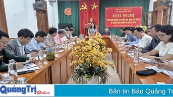 Triển khai công tác kiểm tra, giám sát quý II/2025