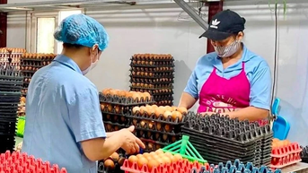 Gỡ điểm nghẽn tín dụng cho doanh nghiệp