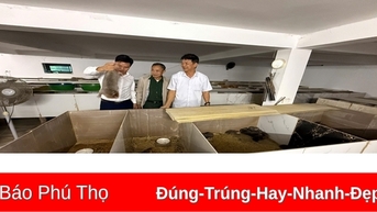 Nông dân Cao Xá thi đua sản xuất, kinh doanh giỏi