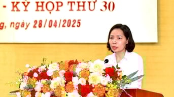 2 phường Lê Thanh Nghị, Nguyễn Trãi dự kiến có dân số, diện tích lớn nhất Hải Dương