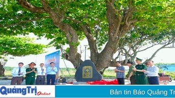 Di sản xanh nơi đảo tiền tiêu Cồn Cỏ
