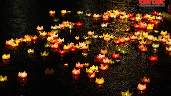 ពិធីបុណ្យផ្កាភ្លើង ប្រារព្ធពិធីបុណ្យចម្រើនព្រះជន្ម ព្រះសម្មាសម្ពុទ្ធ នៅវត្ត Phap Hoa