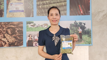 Câu chuyện truyền cảm hứng của người phụ nữ Mường Hà Thị Hồng Hái "dám thay đổi để vươn lên"
