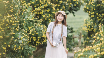 Vườn xương rồng 'có một không hai' ở Mộc Châu, nở hoa chi chít, hút khách thăm