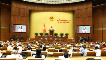 Ngày 13/5, Quốc hội thảo luận tại Hội trường về các nghị quyết, trong đó có cơ chế chính sách đặc thù phát triển TP Hải Phòng