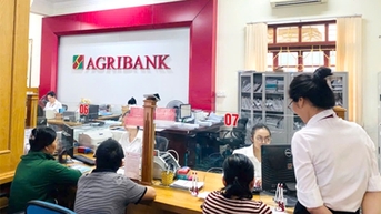 Agribank Lam Sơn: Bệ phóng cho nông nghiệp sạch và công nghệ cao tại Thanh Hóa