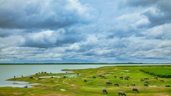 Sắc thái cao nguyên ở Tây Ninh